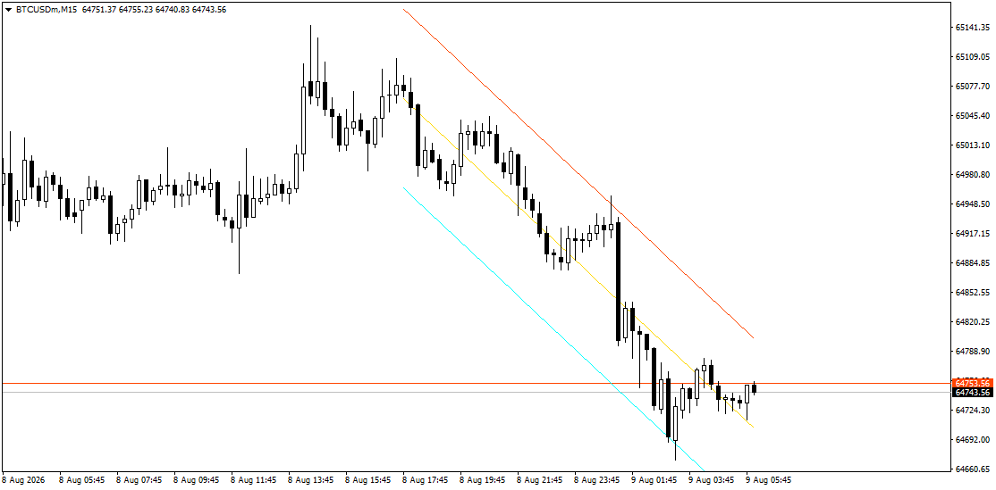 Dynamic Adaptive Indicator Example